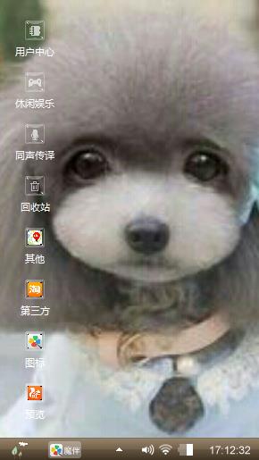 泰迪