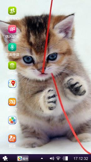 机灵小猫咪