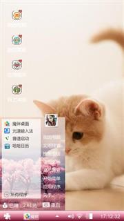 猫咪的幸福生活