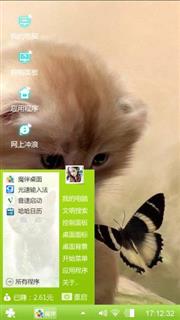 宠物