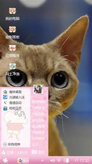 可爱小猫