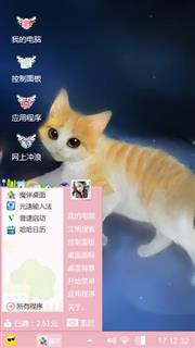 lovely   cat