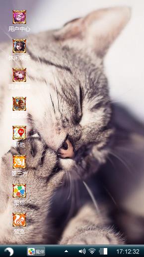 可爱猫咪
