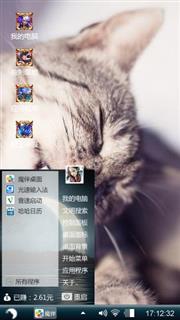 可爱猫咪