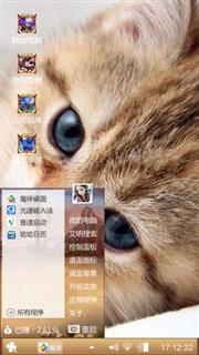 可爱小猫