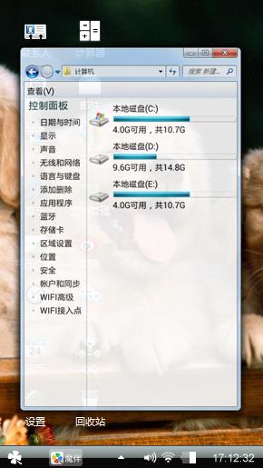 金毛