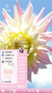 绽放