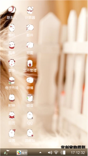 可爱的龙猫