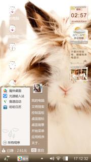 可爱的龙猫