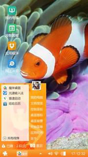 小丑鱼