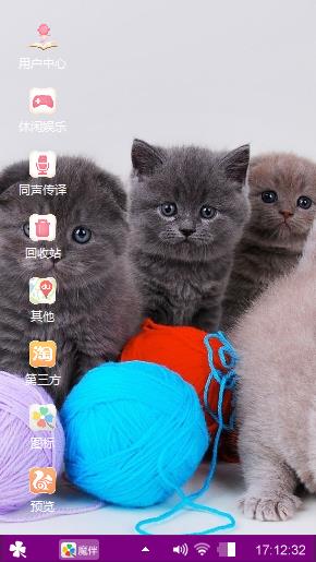 萌萌的猫