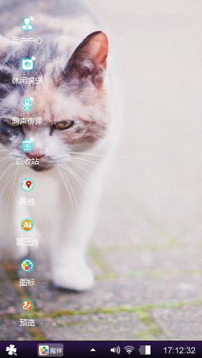 流浪猫
