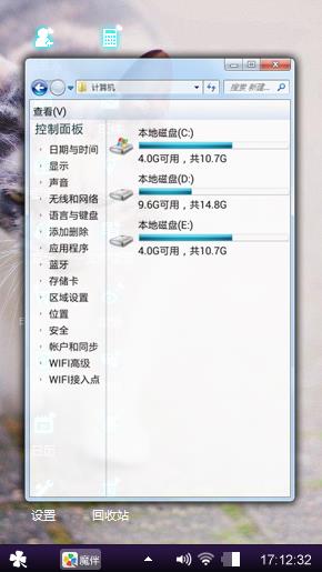 流浪猫