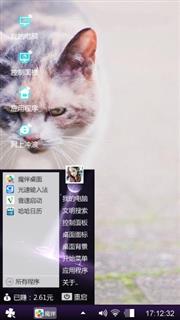 流浪猫