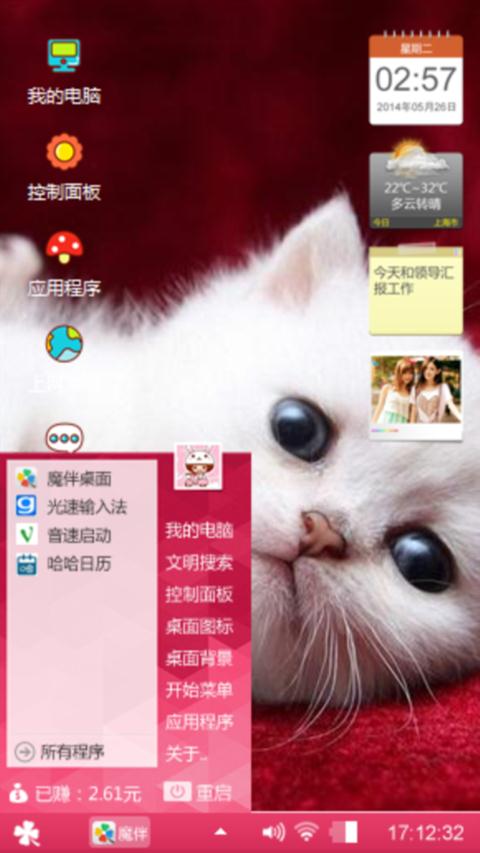 银子（猫）