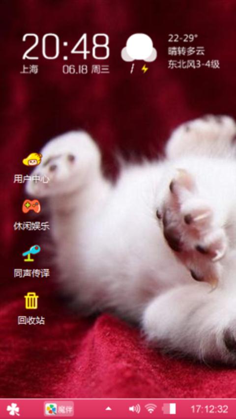 银子（猫）