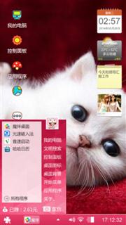 银子（猫）
