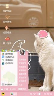 猫猫