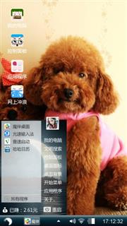 泰迪
