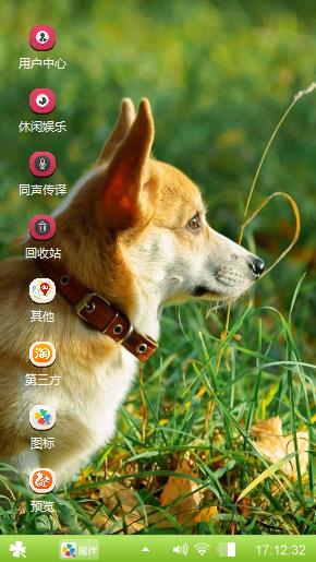柯基犬
