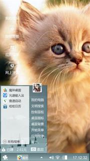 猫猫