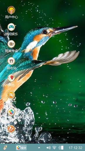 翠鸟