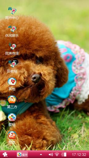 泰迪犬