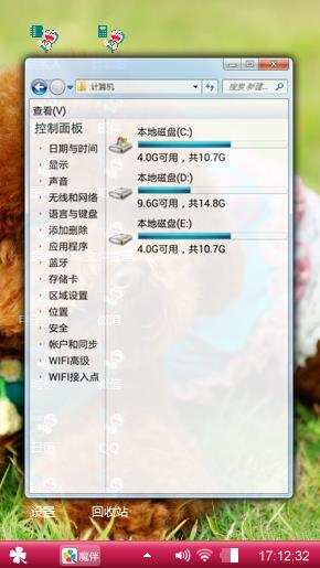 泰迪犬