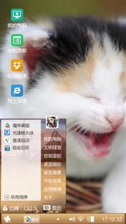 猫猫