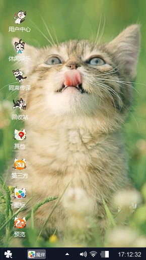霸气小猫