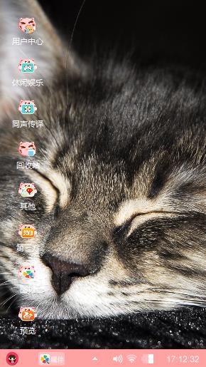 懒懒的猫