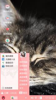 懒懒的猫
