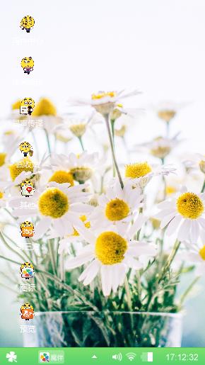 阳光下的菊花