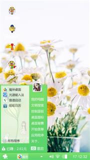 阳光下的菊花