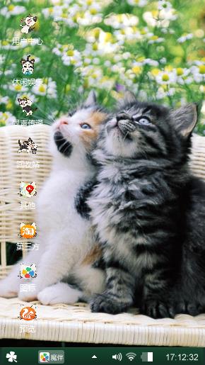 傲娇的小猫