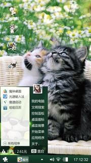 傲娇的小猫