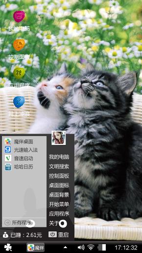 惊讶的猫咪