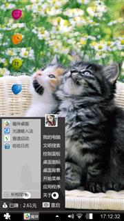 惊讶的猫咪