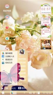 美丽的花儿