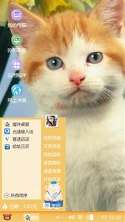 猫