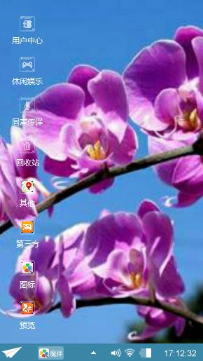 蝴蝶兰