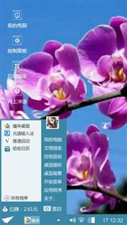 蝴蝶兰