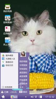 宠物猫