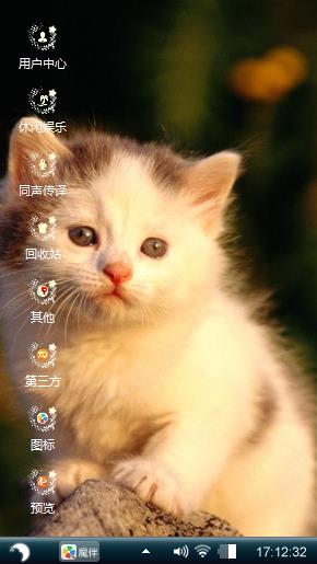 猫咪