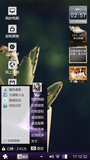 自用