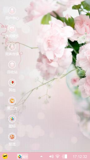 康乃馨