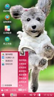 泰迪