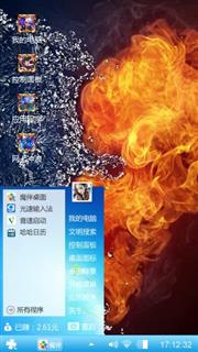 两极