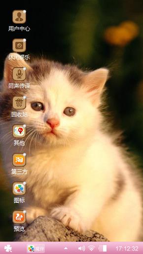 可爱的猫咪