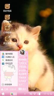 可爱的猫咪